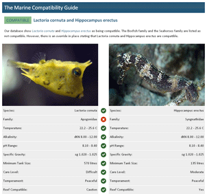 Screenshot of the compatibility page
